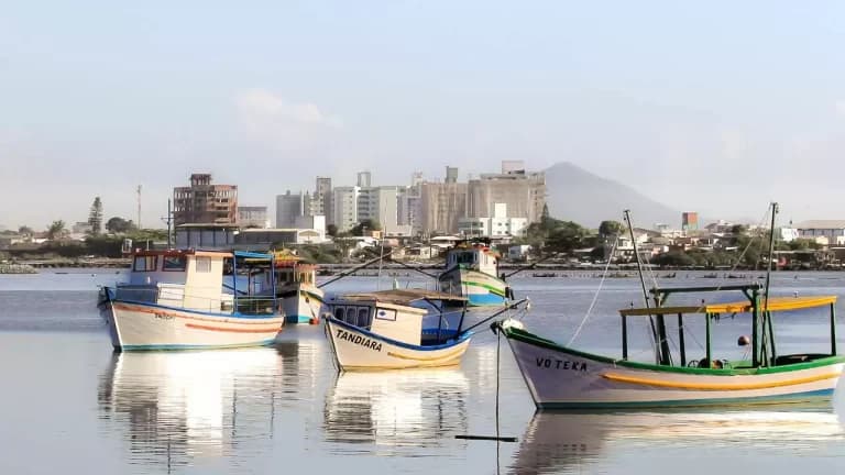 conclusao-vale-a-pena-morar-no-bairro-fazenda-em-itajai