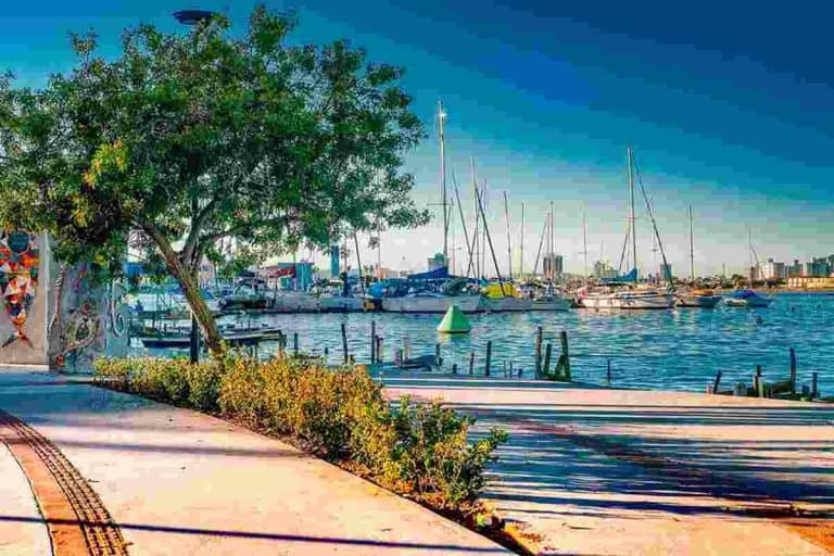 avenida-beira-rio-em-itajai-um-dos-lugares-mais-bonitos-da-cidade