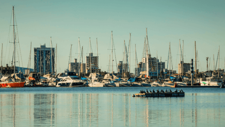 bairros-mais-seguros-de-itajai-contra-enchentes-onde-morar