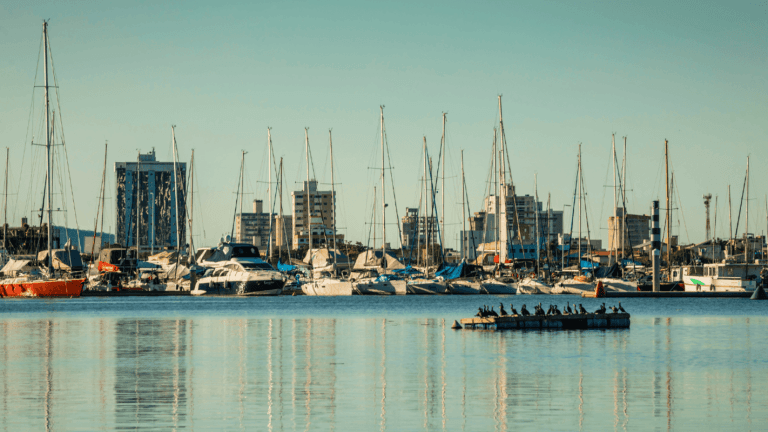 bairros-mais-seguros-de-itajai-contra-enchentes-onde-morar