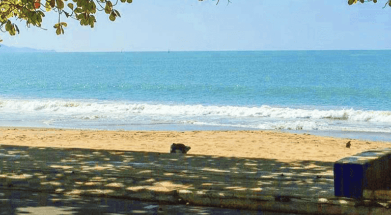 o-que-fazer-em-itajai-dicas-para-aproveitar-a-cidade-ao-maximo